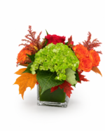 Otoño pequeño - Imagen 2