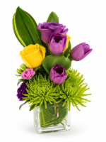 Cute Tulip