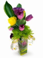 Cute Tulip - Image 2