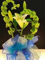 Lino Blue